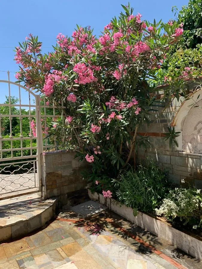 Gemuetliches Appartement In Ano Poli Thessalonique 0*,